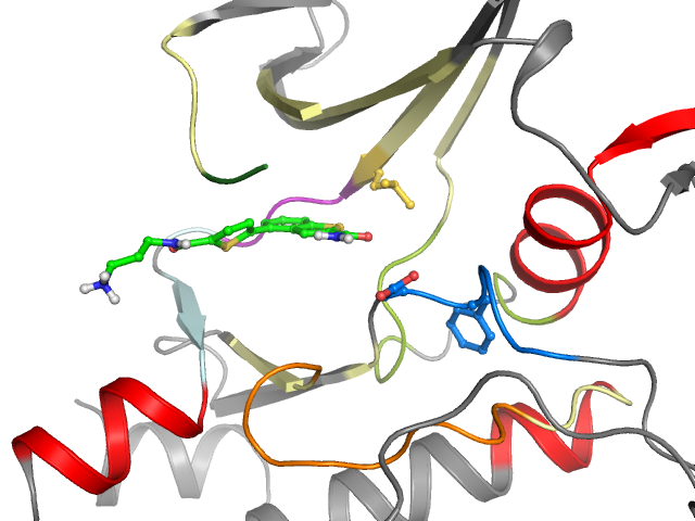 The orthosteric binding pocket