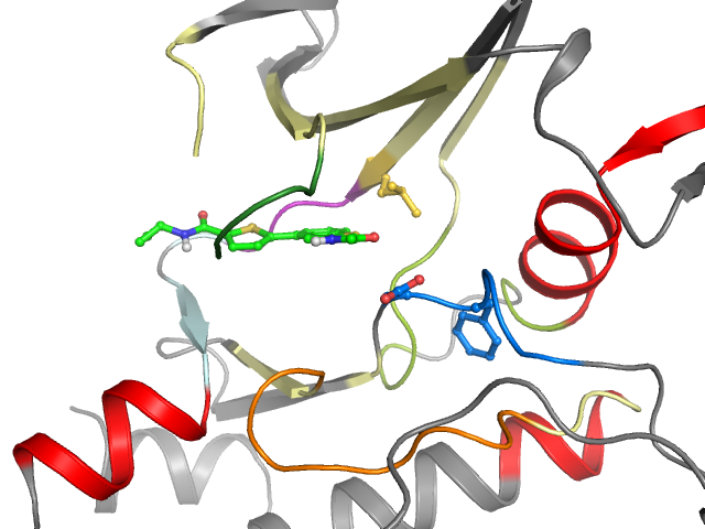 The orthosteric binding pocket
