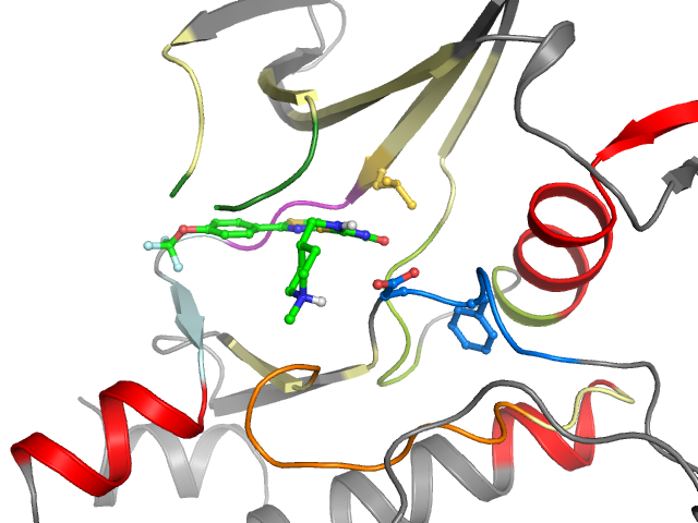 The orthosteric binding pocket