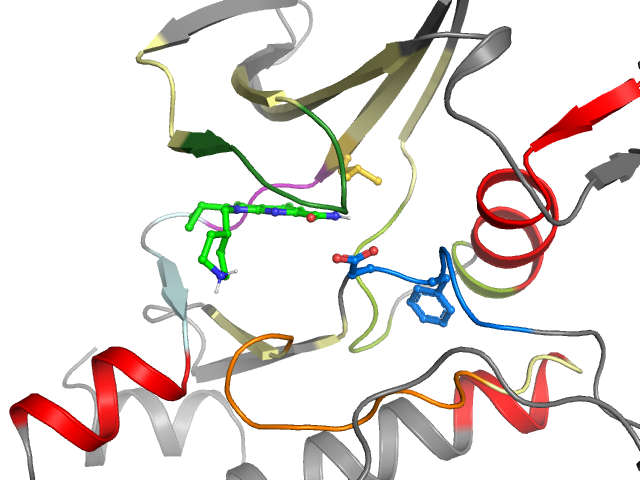 The orthosteric binding pocket
