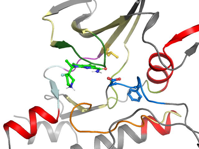 The orthosteric binding pocket