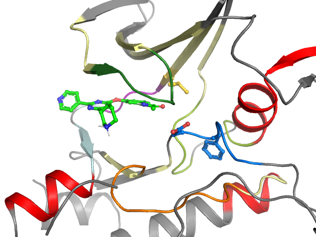 The orthosteric binding pocket