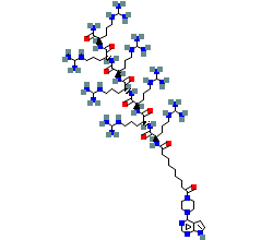 2D structure of the orthosteric ligand