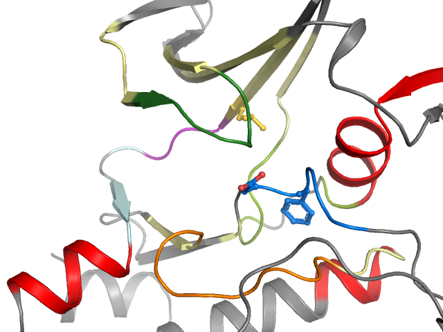 The orthosteric binding pocket