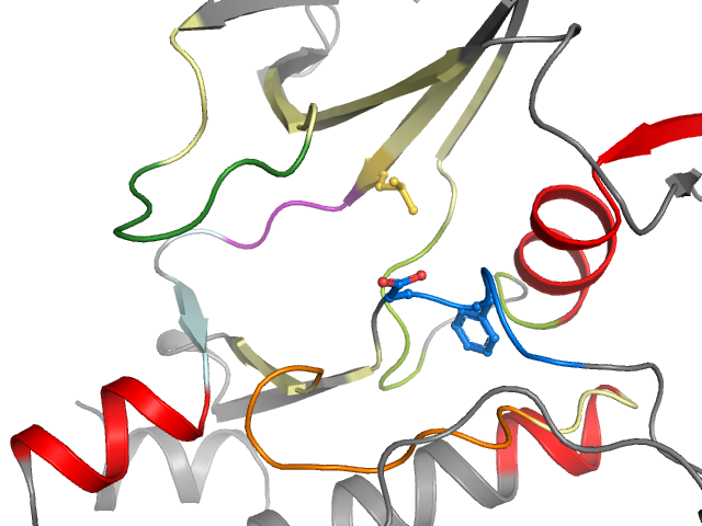 The orthosteric binding pocket