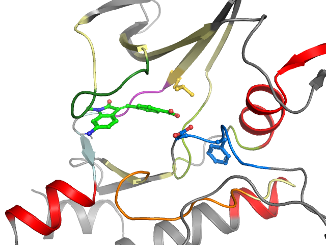 The orthosteric binding pocket