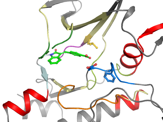 The orthosteric binding pocket