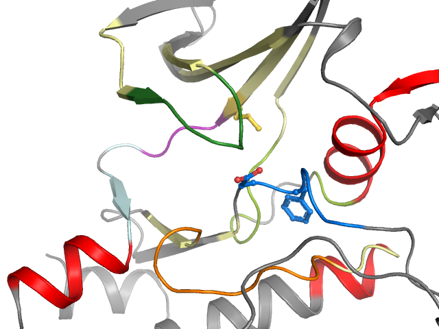 The orthosteric binding pocket