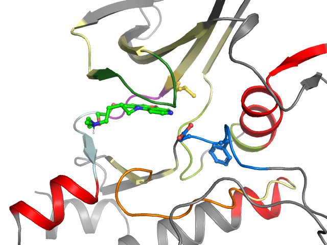 The orthosteric binding pocket