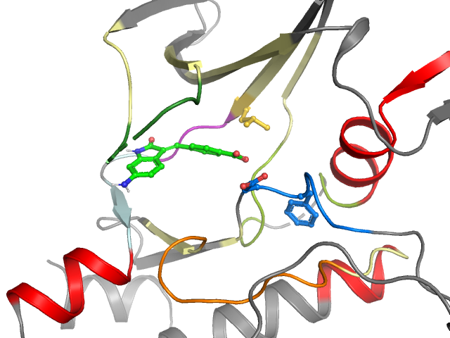 The orthosteric binding pocket