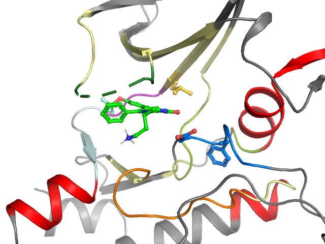 The orthosteric binding pocket