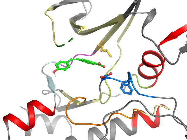 The orthosteric binding pocket