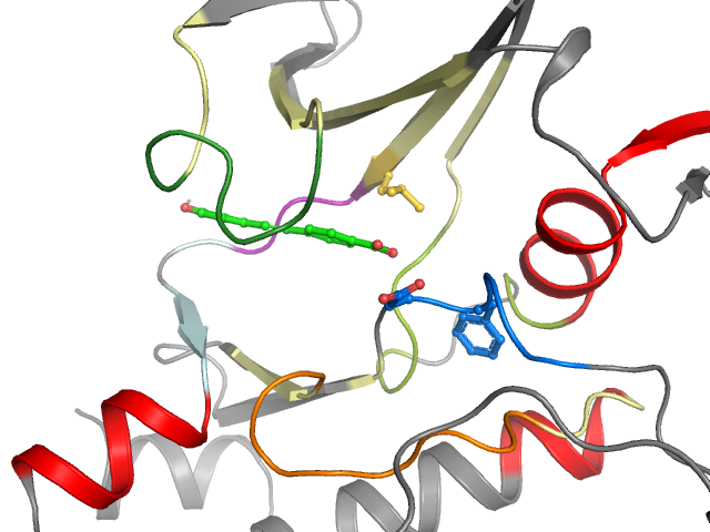 The orthosteric binding pocket