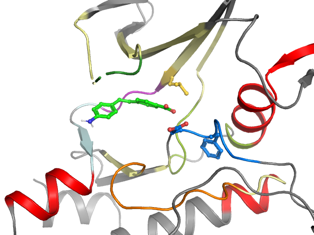 The orthosteric binding pocket