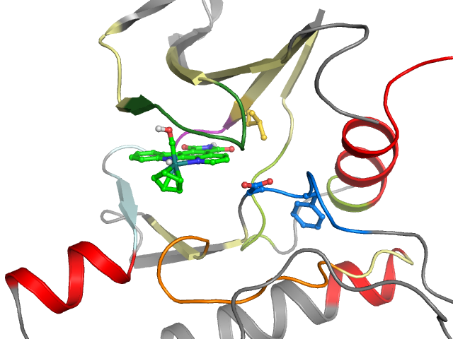 The orthosteric binding pocket