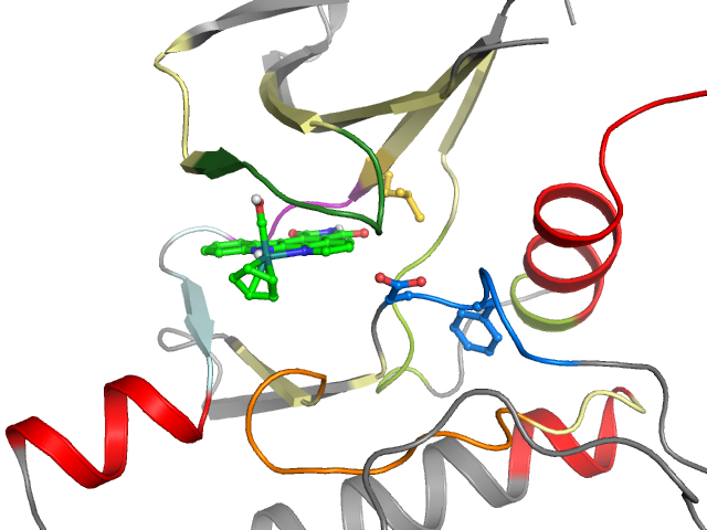 The orthosteric binding pocket
