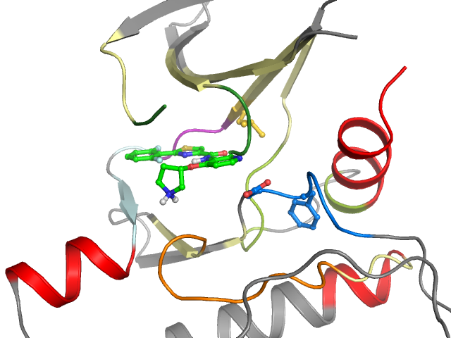 The orthosteric binding pocket