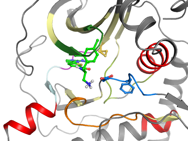 The orthosteric binding pocket