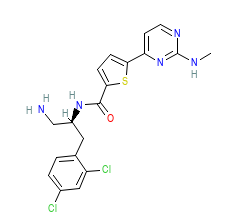 2D structure of the orthosteric ligand