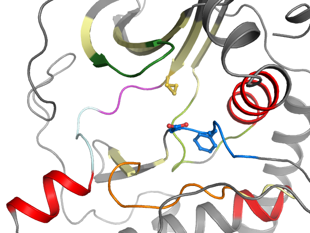 The orthosteric binding pocket
