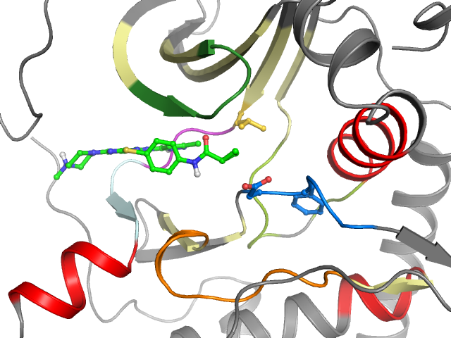 The orthosteric binding pocket