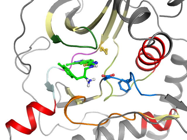 The orthosteric binding pocket