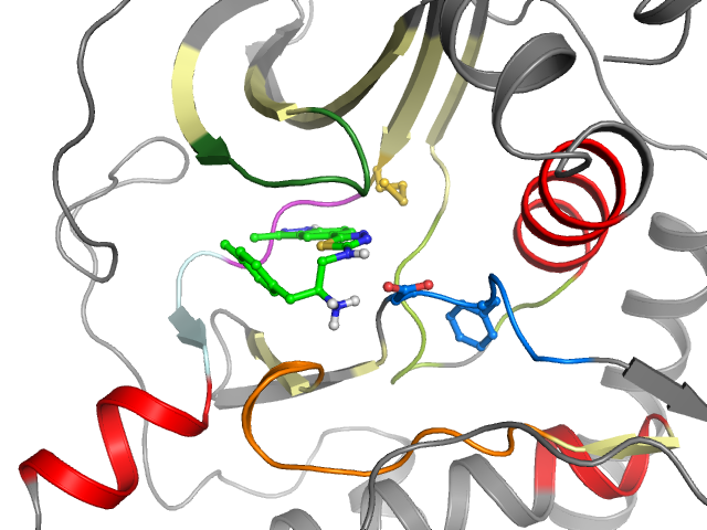 The orthosteric binding pocket