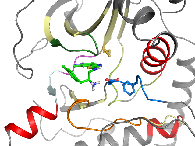 The orthosteric binding pocket