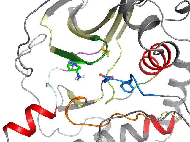 The orthosteric binding pocket