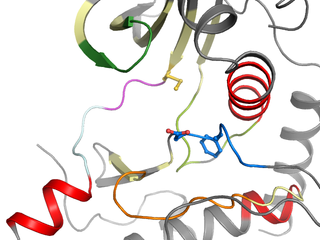 The orthosteric binding pocket