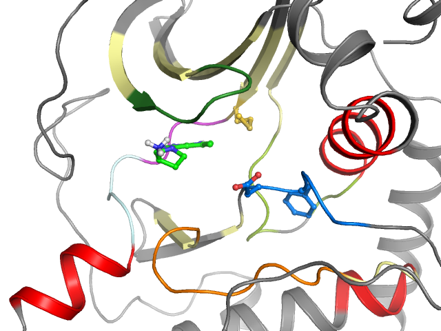 The orthosteric binding pocket