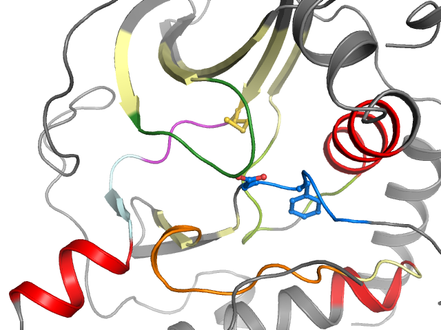 The orthosteric binding pocket
