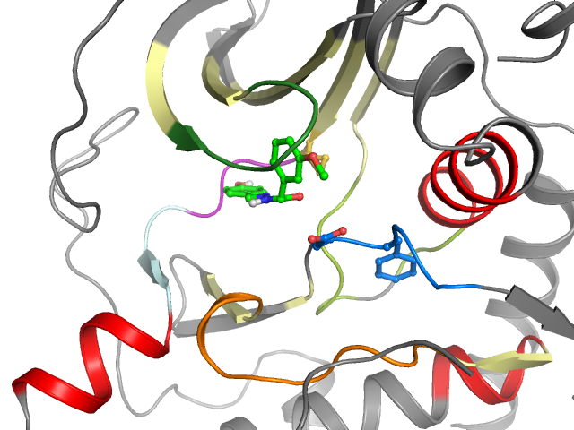 The orthosteric binding pocket