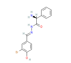 2D structure of the orthosteric ligand