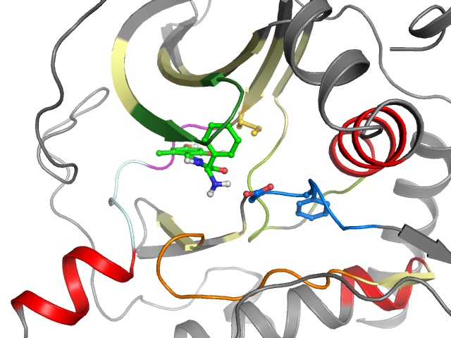 The orthosteric binding pocket