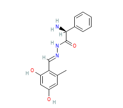 2D structure of the orthosteric ligand
