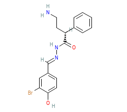 2D structure of the orthosteric ligand