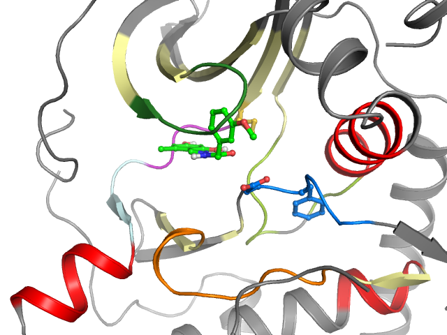 The orthosteric binding pocket