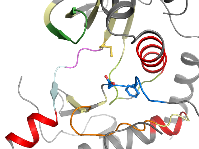 The orthosteric binding pocket