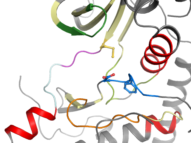 The orthosteric binding pocket