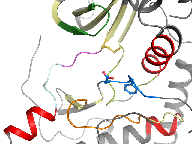 The orthosteric binding pocket
