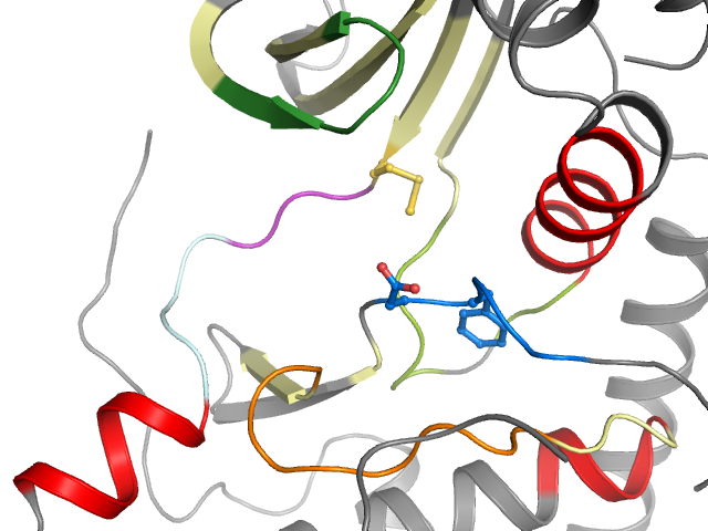 The orthosteric binding pocket