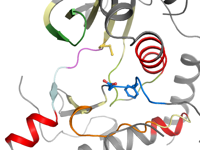 The orthosteric binding pocket