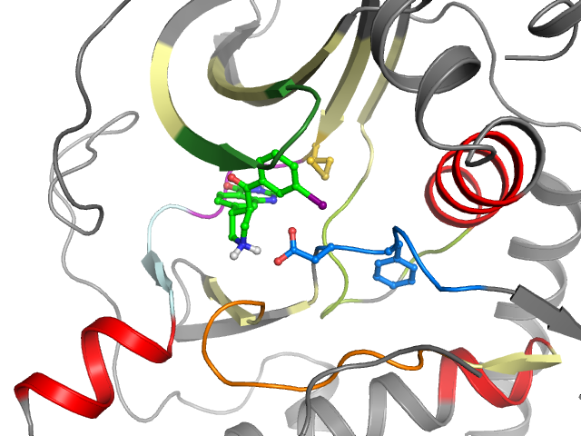 The orthosteric binding pocket