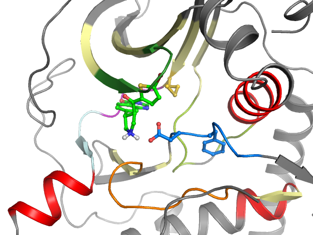 The orthosteric binding pocket