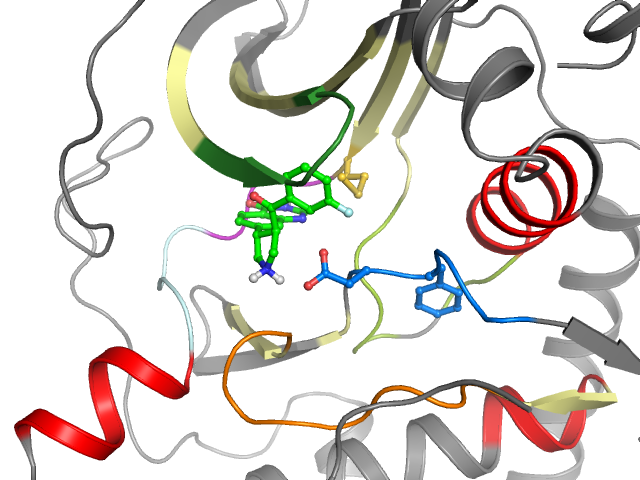 The orthosteric binding pocket