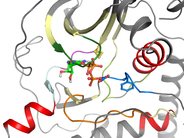 The orthosteric binding pocket