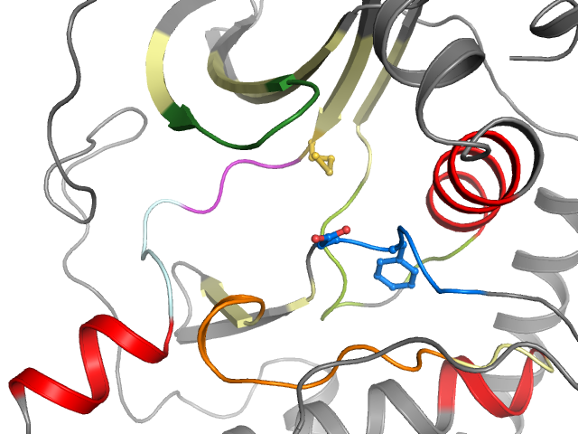 The orthosteric binding pocket