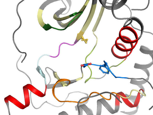 The orthosteric binding pocket
