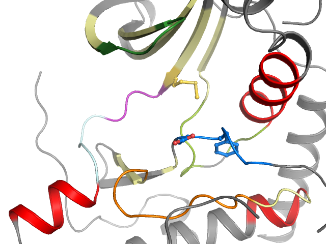 The orthosteric binding pocket